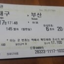 단디텍스 이미지