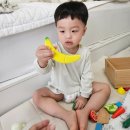 주원원목 | 원목 주방놀이 추천, 앤도르프 과일자르기 장난감(장난감 도서관 대여)