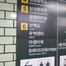 2024 가낳지모 케이 캣페어 펫페어 서울 코엑스 D홀 방문 후기