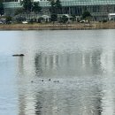 돈보라목장 | 강릉 여행 DAY 1 | 중앙시장 맛집 탐방 &amp; 갤러리밥스 후기 (여행 코스 추천)