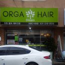 올가드림헤어 이미지