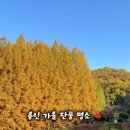 명수당 네이버블로그