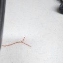 신봉3로12번길 이미지