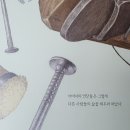키위에듀 이미지