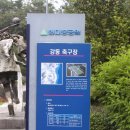 다지구장 이미지