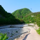 옥계매점식당 이미지