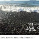 정도리
