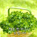 수림결혼정보 이미지