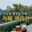 수원 행궁동 카페 [카페메이븐 행궁동본점] 행궁동 브런치 맛집 카페 솔직후기, 애견동반 가능해요!