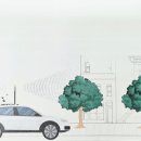 부산시, 스마트 수목관리시스템 시범 도입 이미지