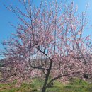 구름다리농장 이미지