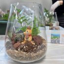 (12/16) 평생학습주간_작은 생태계 테라리움 | [성당동] 가정에서 실천하는 도시농업