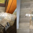 둥근섬로 Daum카페