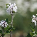 종수농장 이미지