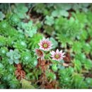 숲속건강나라 이미지