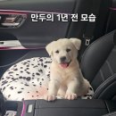 만숙