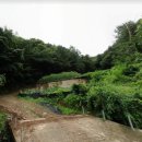 대일부동산중개사무소 이미지