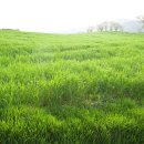 성원목장 이미지