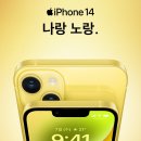 나랑노랑 이미지