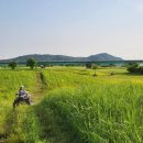 부여서울 이미지