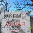 선경(아) | [지리산] 연하선경의 신비로운 돌길, 장터목 대피소는 삼겹살 맛집?! 2편