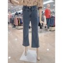 크로커다일레이디 이미지