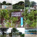 전남 구례 / 초가을에 걸어보는 ‘섬진강 벚꽃길’ 이미지
