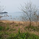 취락식당 이미지