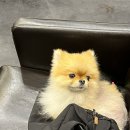 윤다영미용실 이미지