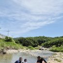 고성 탑 글램핑 농원 | 단체 여행가기 좋은 고성여행 고성탑글램핑 농원