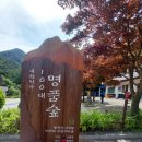 정다운 118회차 동해 무릉계곡 트레킹(6/15) 이미지