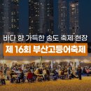 대형선망수산업협동조합 | 2025 제 16회 부산고등어축제 후기