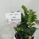 수림화원 이미지