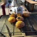 럿지(Lodge) | 양주 카페 럿지 방문기｜감성 가득한 힐링 대형카페 추천