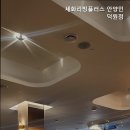 세화리빙플러스 - 군포시 산본로323번길 26-22 | 세화리빙플러스