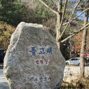 힐링하고 온 포천 돌고래캠핑장, 측백나무존 1번 가족캠 후기 :D