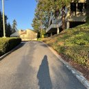 9월 브런치콘서트 - 굿모닝 얌모얌모 콘서트 | 일상#5 2022년 9월 네 번째 주 일상 기록◡̈ (시애틀 Lauv 콘서트, Snow Lake trail 첫 하이킹•••)