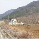 대연성심공인중개사사무소 이미지