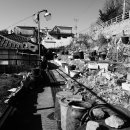 독립문로 이미지