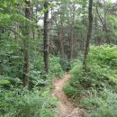 용흥사(주차장) 이미지