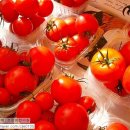 조정래한의원 이미지