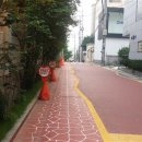 강남-226 이미지