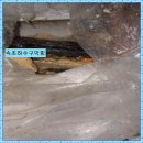 속초 대포동 하수구 배수 역류 위험, 고압세척으로 사전 차단 속초신세계하수구