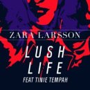 Zara Larsson / Lush life (원key Bb) mr 이미지