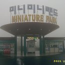 미니미니 이미지