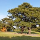 하모리-48 이미지