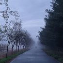 금호강변로 이미지