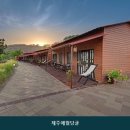 제주애월당귤