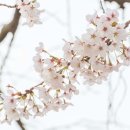 아미미술관 이미지