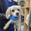 원창고개길 이미지